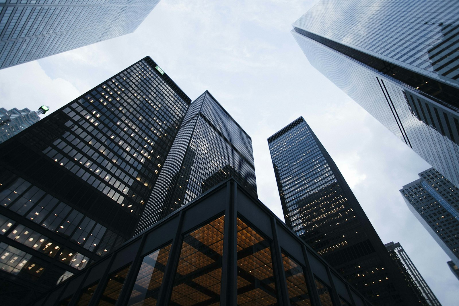 PT Bibit Tumbuh Bersama — Investasi Modern